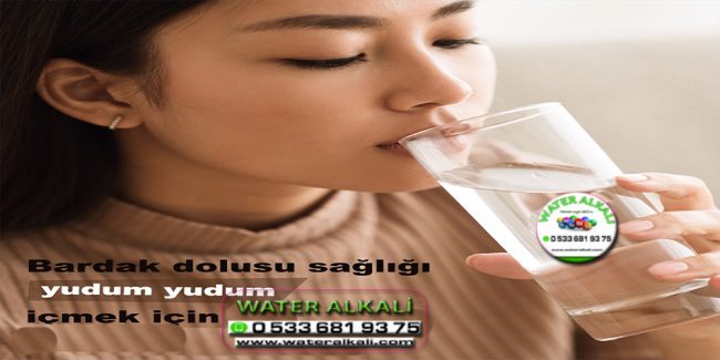 Manisa Turgutlu Su arıtma servisi Water Alkali
