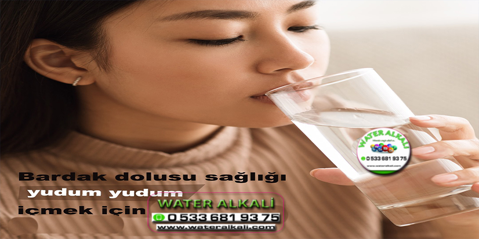 Manisa Turgutlu Su arıtma servisi Water Alkali