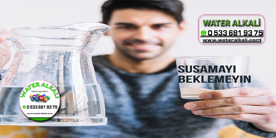 Afyon Sandıklı su arıtma servisi Water Alkali