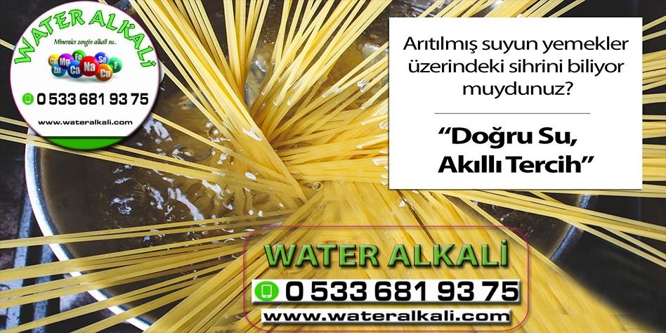 Kütahya Altıntaş su arıtma servisi