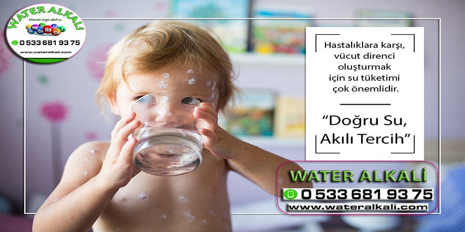 Manisa Demirci su arıtma servisi Water Alkali