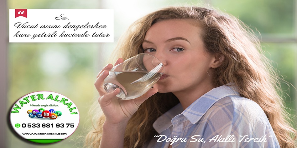 Afyon Dazkırı su arıtma servisi Water Alkali
