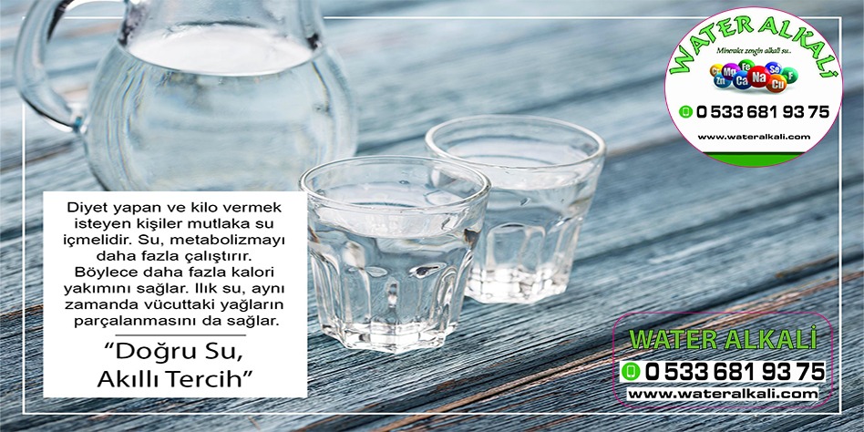 Manisa Gördes Su arıtma servisi Water Alkali