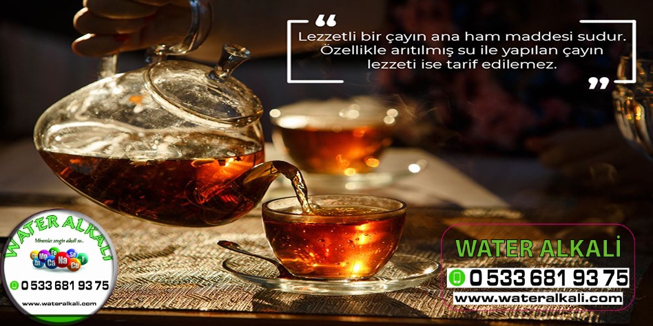 Manisa gölmarmara su arıtma servisi Water Alkali