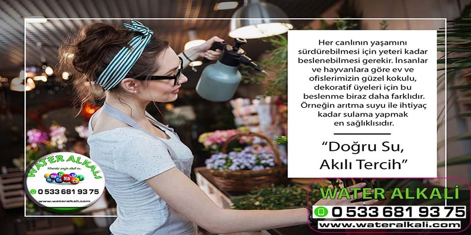 Denizli Acıpayam su arıtma servisi Water Alkali