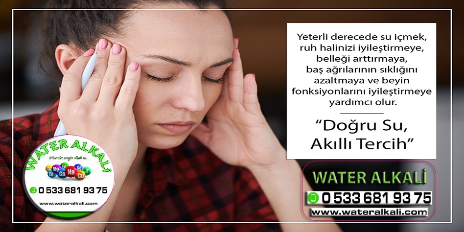 Denizli Çivril su arıtma servisi Water Alkali